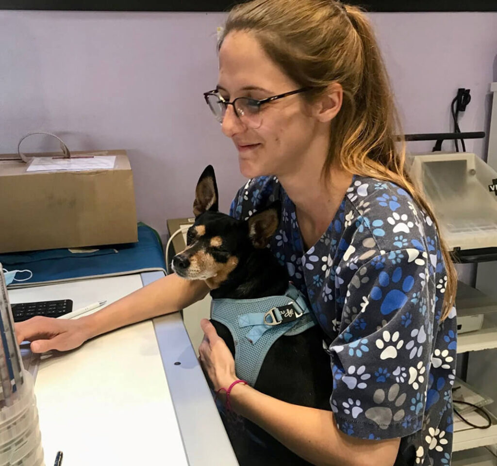 Accueil cabinet de l'Emeraude