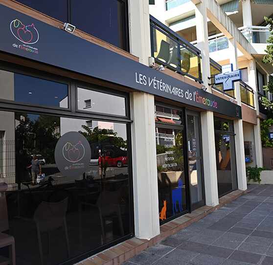 Devanture cabinet v&eacute;t&eacute;rinaire de l'Emeraude