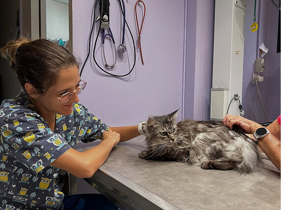 V&eacute;t&eacute;rinaire avec chat
