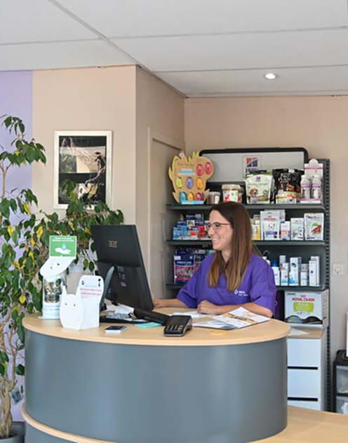 Accueil v&eacute;t&eacute;rinaires de l'Emeraude