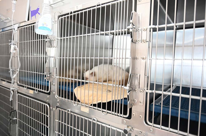 E-Hospitalisation Chirurgie et hospitalisation