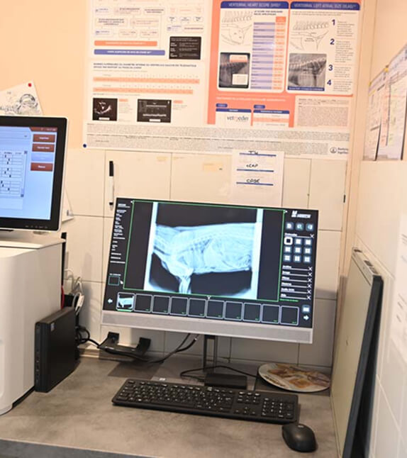 équipement imagerie vétérinaire